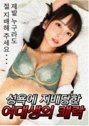 金纵王朝